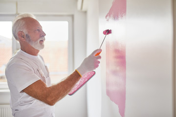 Home Painter