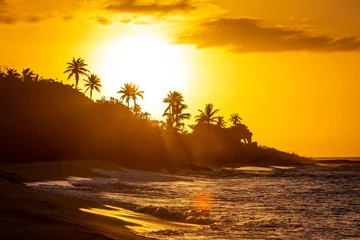 Schilderijen op glas Tropical sunset at the beach with palms © PhotoSpirit