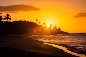 Rolgordijnen Tropical sunset at the beach with palms © PhotoSpirit