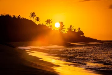 Gordijnen Tropische zonsondergang op het strand met palmen © PhotoSpirit