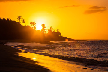 Tropical sunset at the beach with palms