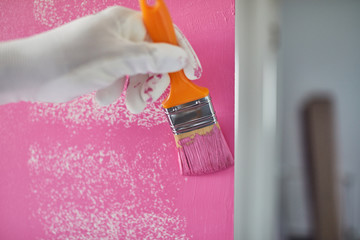 Home Painter