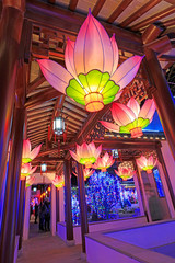 lotus lantern in the park, China