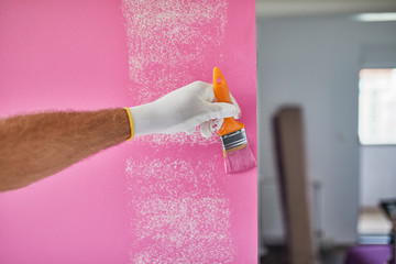 Home Painter