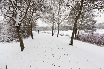 Cycling snowy path through trees