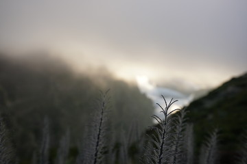 Pico do Areiro Madeira Portugal