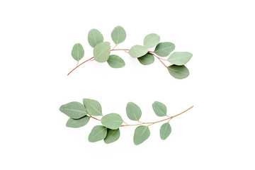 Obraz premium Wreath frame made of branches eucalyptus isolated on white background. lay flat, top view