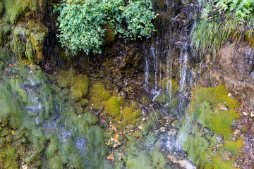 Muschio e cascate