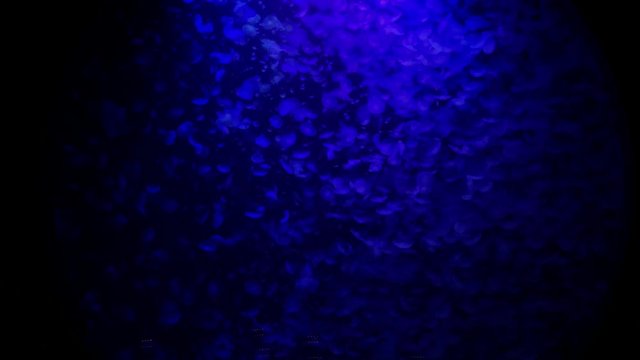 Jellyfish - Lots of blue Jellyfish inside round and giant pool at Kamon Aquarium, Japan. The Kurage Dream Theater, the showpiece of the Kura-netarium.