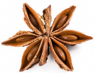 Star anise isolated on white background. Spices macro.