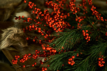 Christmas decoration red berries holly on a wooden table