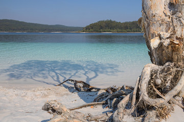 Fototapeta premium Fraser Island, Lake Mckenzie 