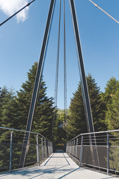 wiew of the panoramic bridge in cimetta Locarno