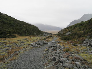 Nwe Zealand.  Milford Sound Nature. South Island