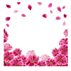 Naklejka na ściany i meble Sakura flowers spring frame