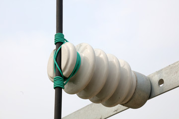 Insulator and wire