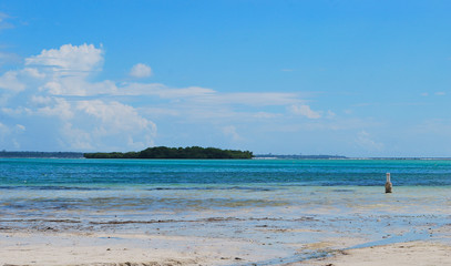   Landscape of caribian lagune.