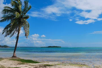 Wandcirkels plexiglas Dominican Republic, Playa Anders Tropic view © maxkateUSA