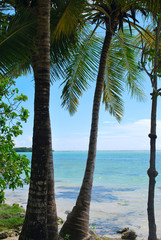 Dominican Republic, Playa Anders Tropic view