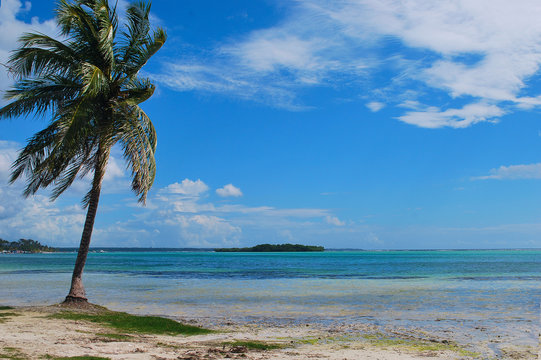 Dominican Republic, Playa Anders Tropic view