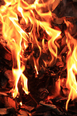 焚き火