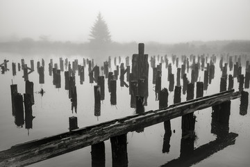 Old Wharf on the Willapa No. 4, Raymond, Washington, 2018