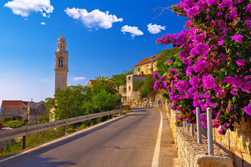 Village of Lozisca on Brac island historic street and colofrul flowers view