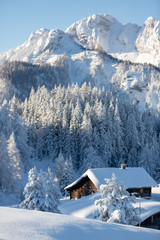 Picturesque winter scene with snowy forest and traditional alpine chalet. Sunny frosty weather with...