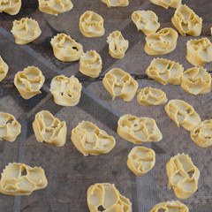 Dolciumi natalizi del sud Italia. Bari. Preparazione di Cartellate fresche con pasta fatta a mano, senza vin cotto