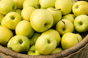 Basket of apples