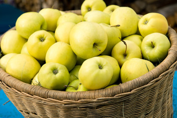 Basket of apples