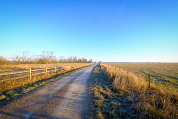Fototapeta na wymiar a gravel road between two fields one morning without clouds