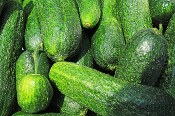 Green raw cucumber whole healthy vegetable diet food low kcal