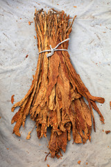 dry tobacco on the stall