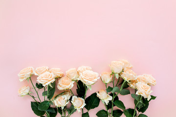 Pastel tea rose flowers on pink background. Floral background. Minimal floral concept. Flat lay, top view.  