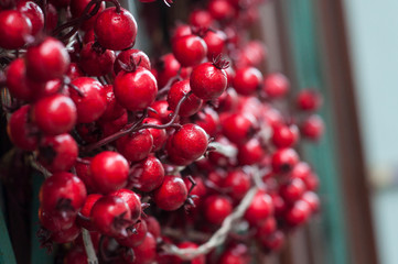 closeup of mini decoratives red apples in christmas tree
