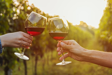 Zwei Hände klirren Rotweinglas in einem Weinberg während des Sonnenuntergangs.