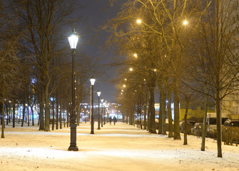 Park at winter night.