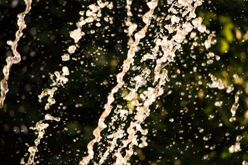 Macro drops from a fountain