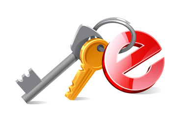 vector keys access, the Internet, a bunch of keys