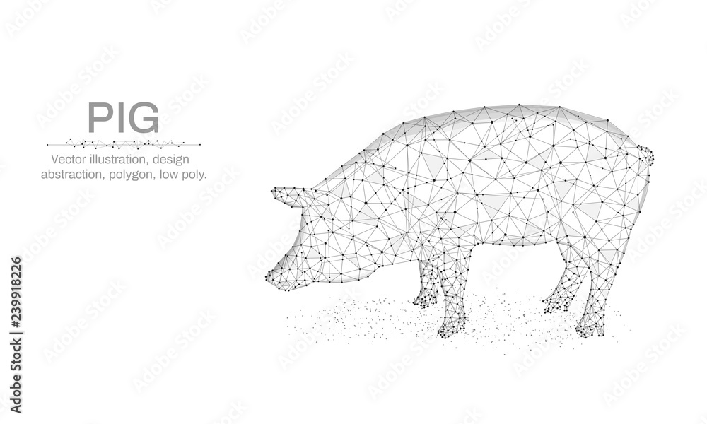 Wall mural pig, new year illustration made by points and lines, polygonal, low poly holiday background, animal 