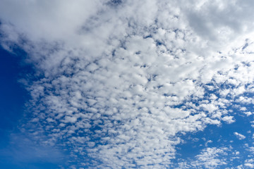 青い空と白い雲