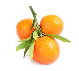 Tasty ripe tangerines with leaves on white background