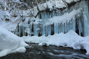 Fototapeta premium 冬の滝