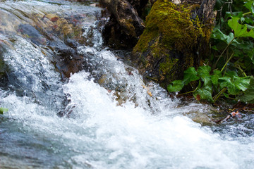 Water Stream Cascading in Autumn Forest Plitvice Lakes National Park