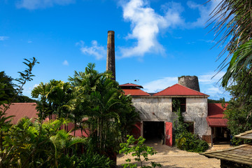 famous plantation barbados
