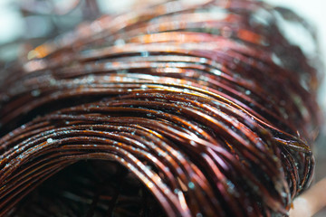 The copper coil is in the motor with a clutch of oil.