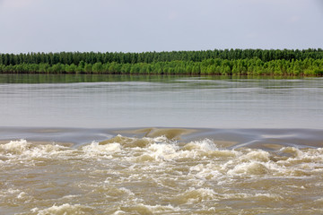swift river in nature