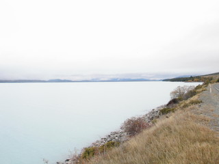 New Zealand.  South Island nature