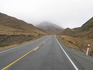 New Zealand.  South Island nature
